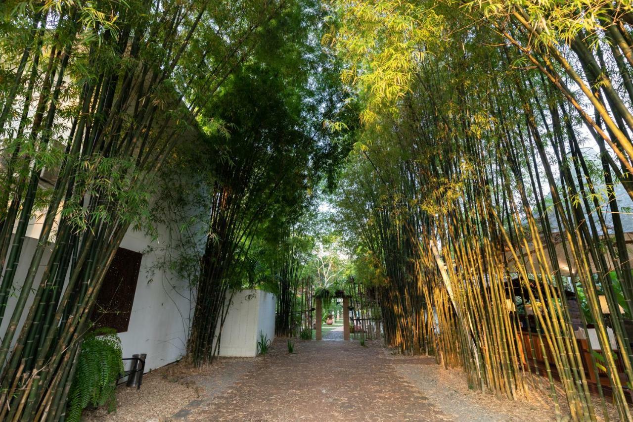 Mango T. Villa Chiangmai Resort Chiang Mai Bagian luar foto